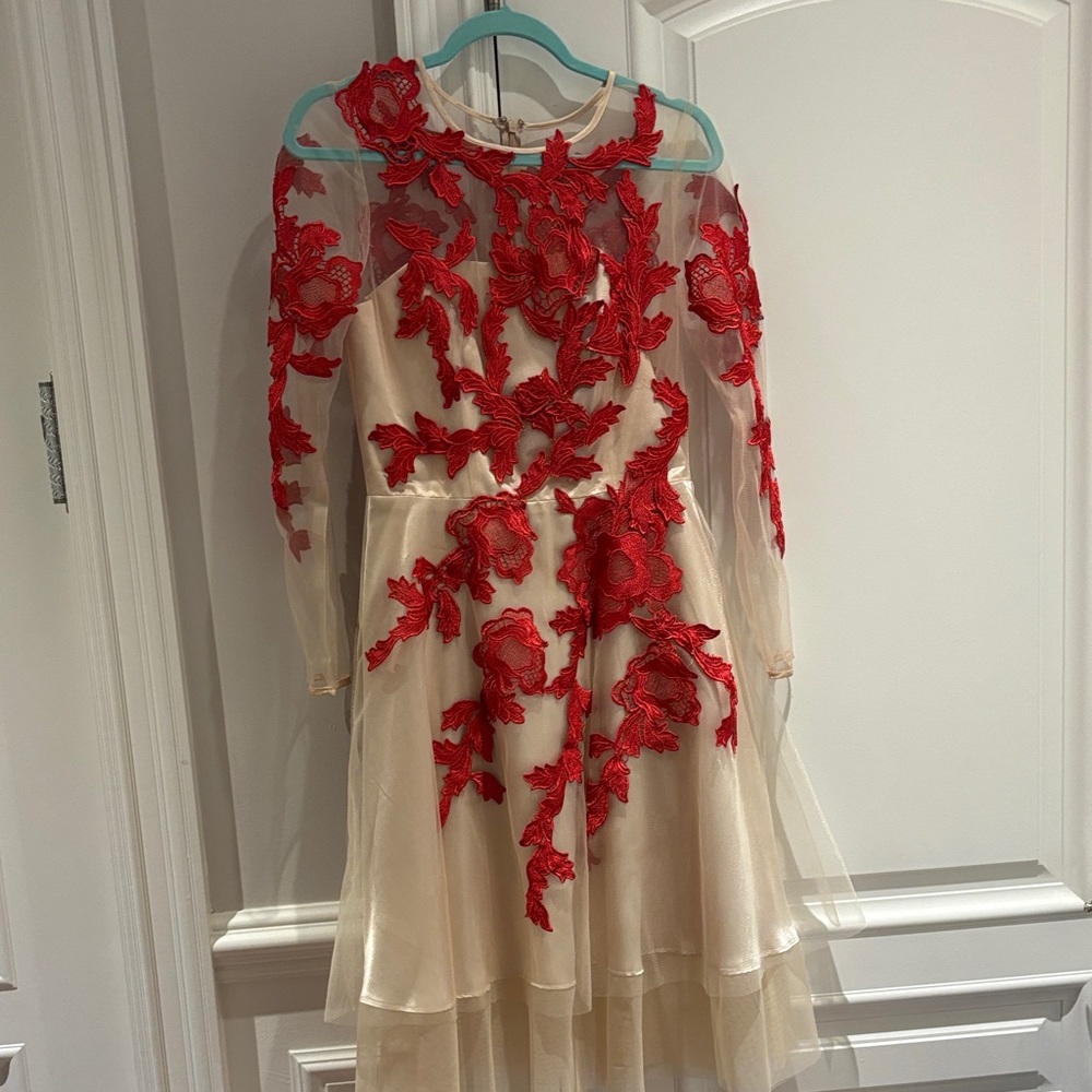 Elegant Red Floral  embroidered tulle Dress with champagne lining . Exquisite